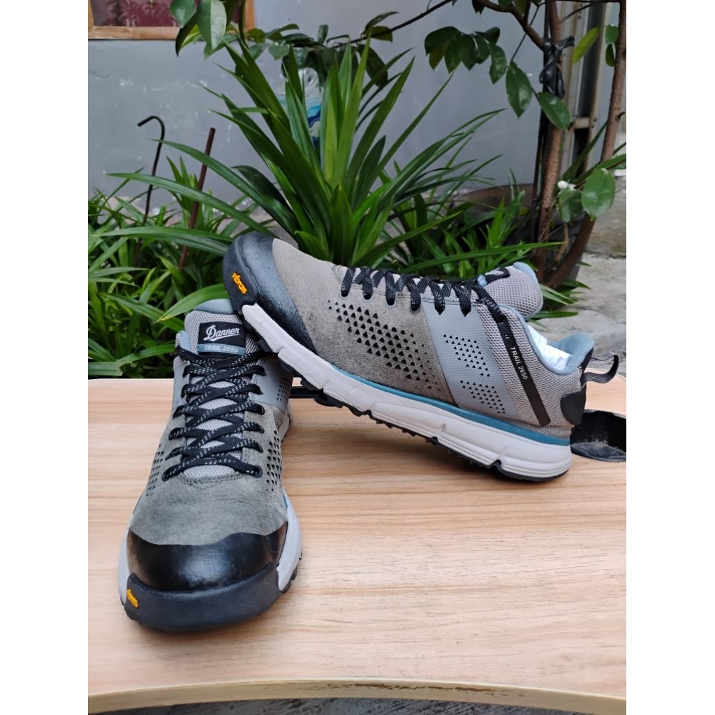 Danner Trail 2650 hiking shoes