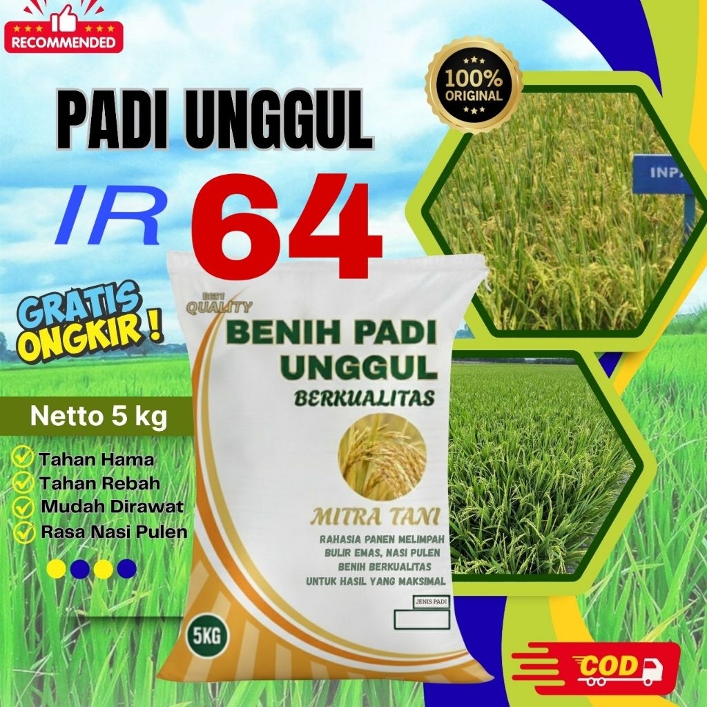 bibit padi IR 64 berqulitas kemasan 5kg