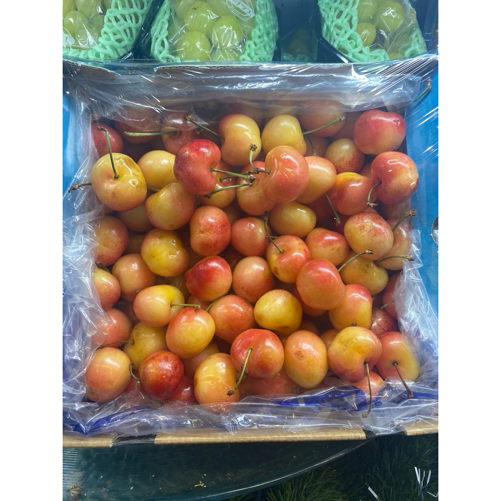Buah Cherry Golden Import  Manis Segar / Cherry Golden / Cherry Kuning / 1 Box