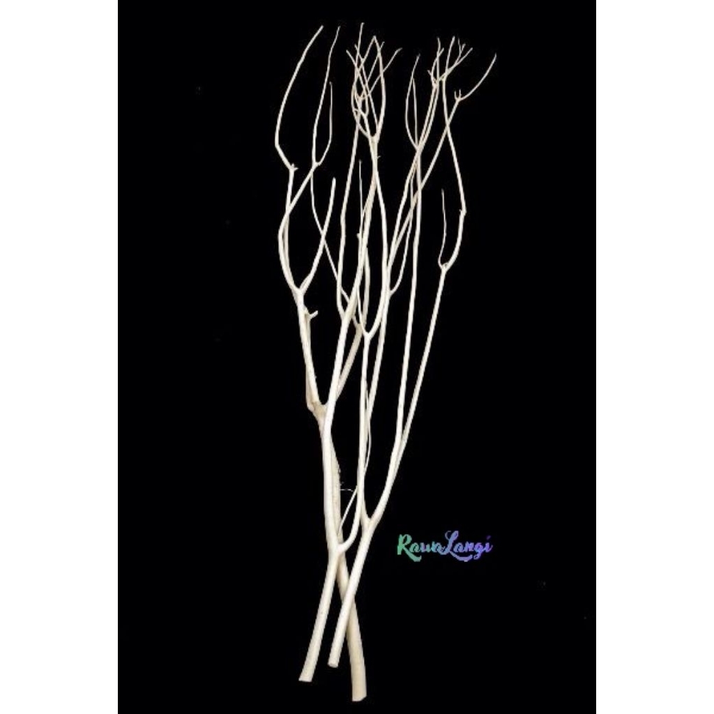 Hiasan Dekorasi Ranting Pohon Kering Tinggi 2 Meter Kayu Dekorasi Aestetic Batang Pohon Estetik