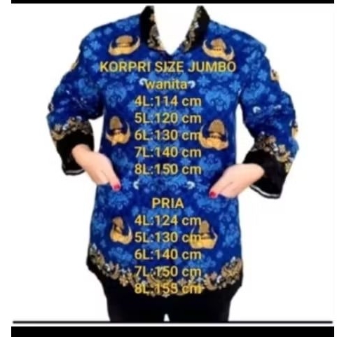 seragam korpri jumbo ori baju seragam PNS/ASN atasan wanita terbaru 2025  kwalitas premium kerah hit