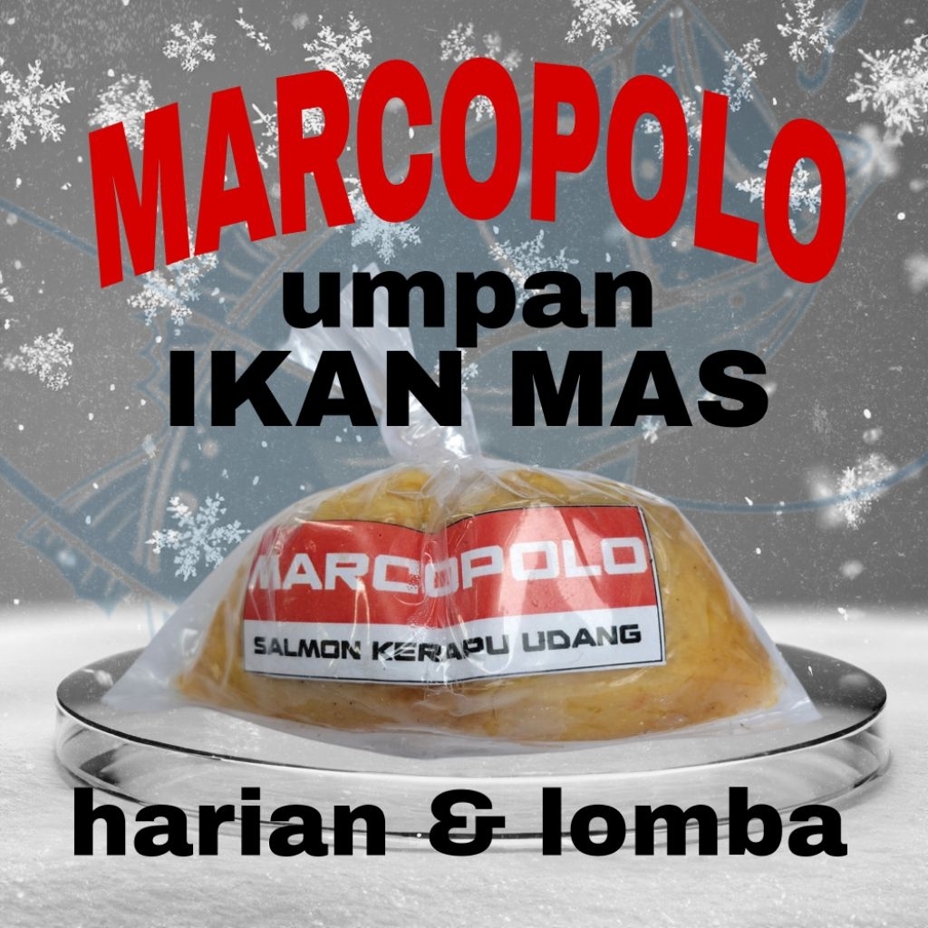 MARCOPOLO