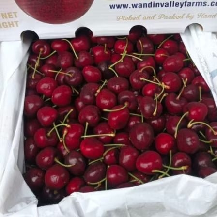 BUAH CERI/ CHERRIES FRESH SATU DUS