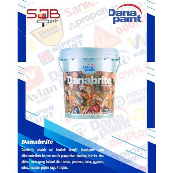 Cat Tembok Interior Dana Paint Danabrite 25 Kg