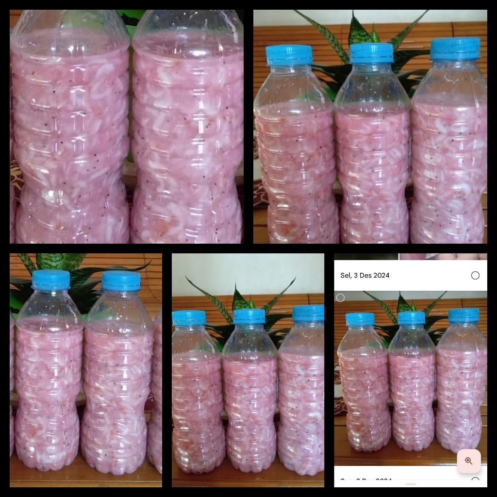 Hakoi/Hekoi/Calok/Cincalok Udang Pontianak 320gr