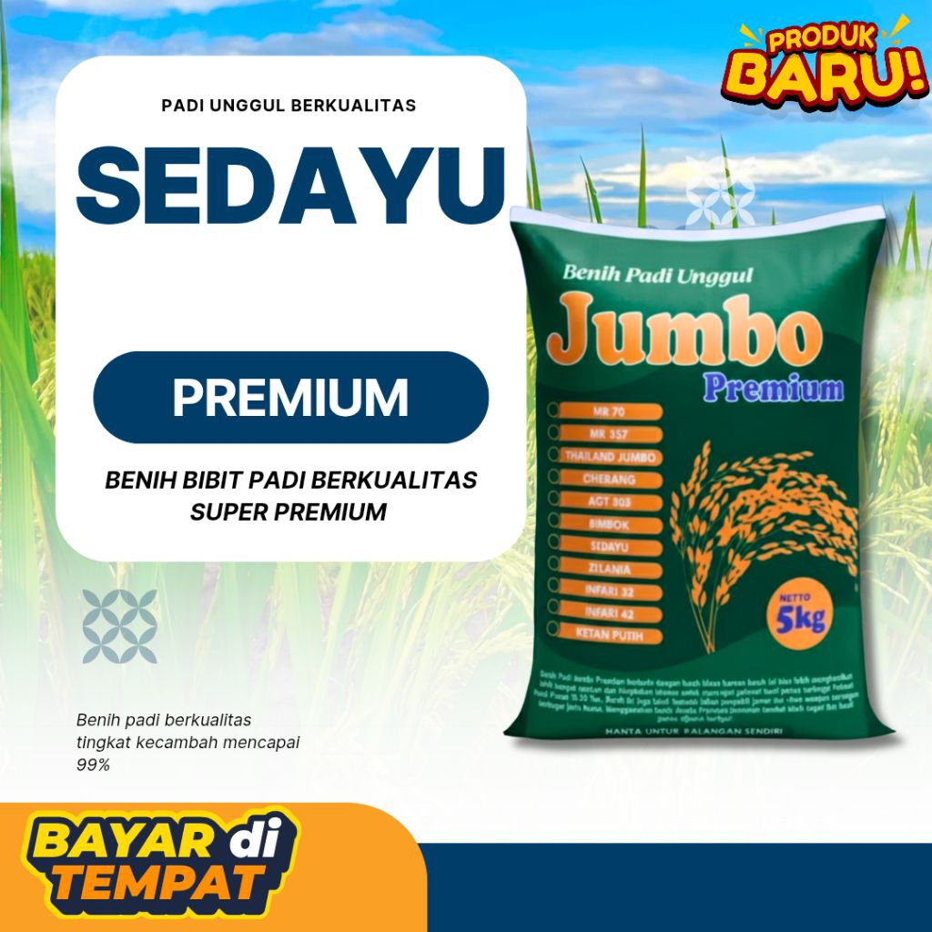 benih padi Sedayu kemasan 5kg
