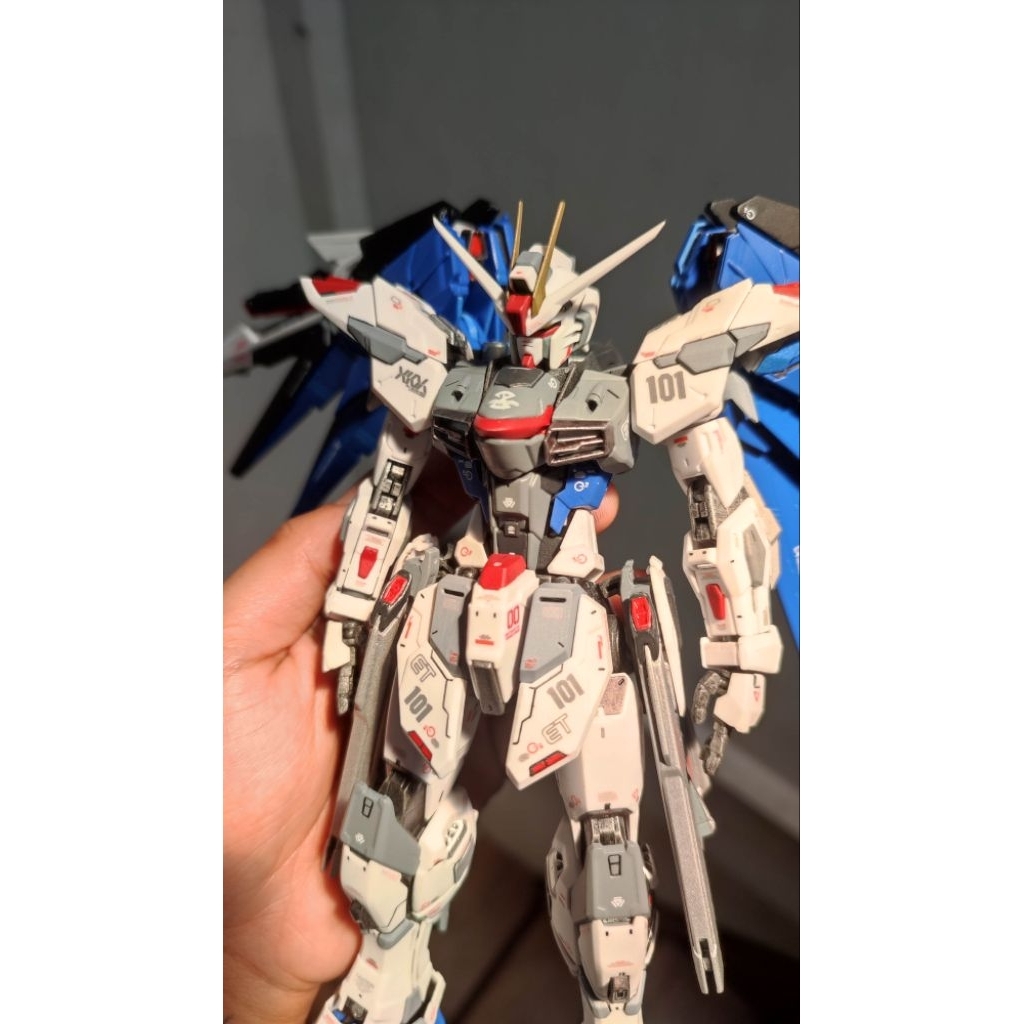 Daban 6650 MG Freedom Gundam 1/100 Full Repaint