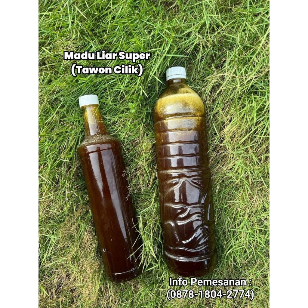 1KG Madu Liar Nyaruan Tawon Cilik (Apis Cerana)