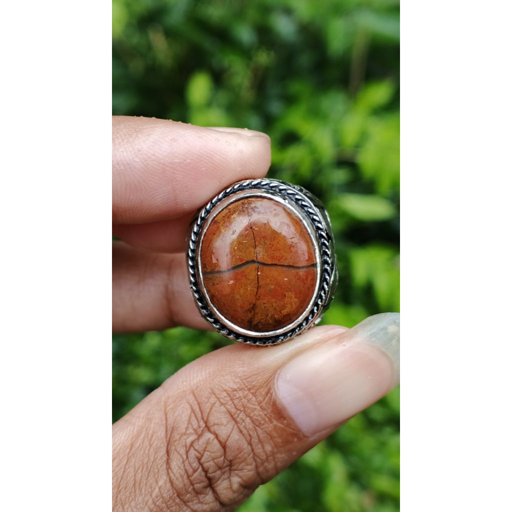 TAPAK JALAK  pastinya natural batu alam