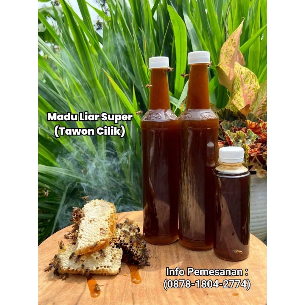 Madu Liar Nyaruan Tawon Cilik Botol Marjan (Apis Cerana)