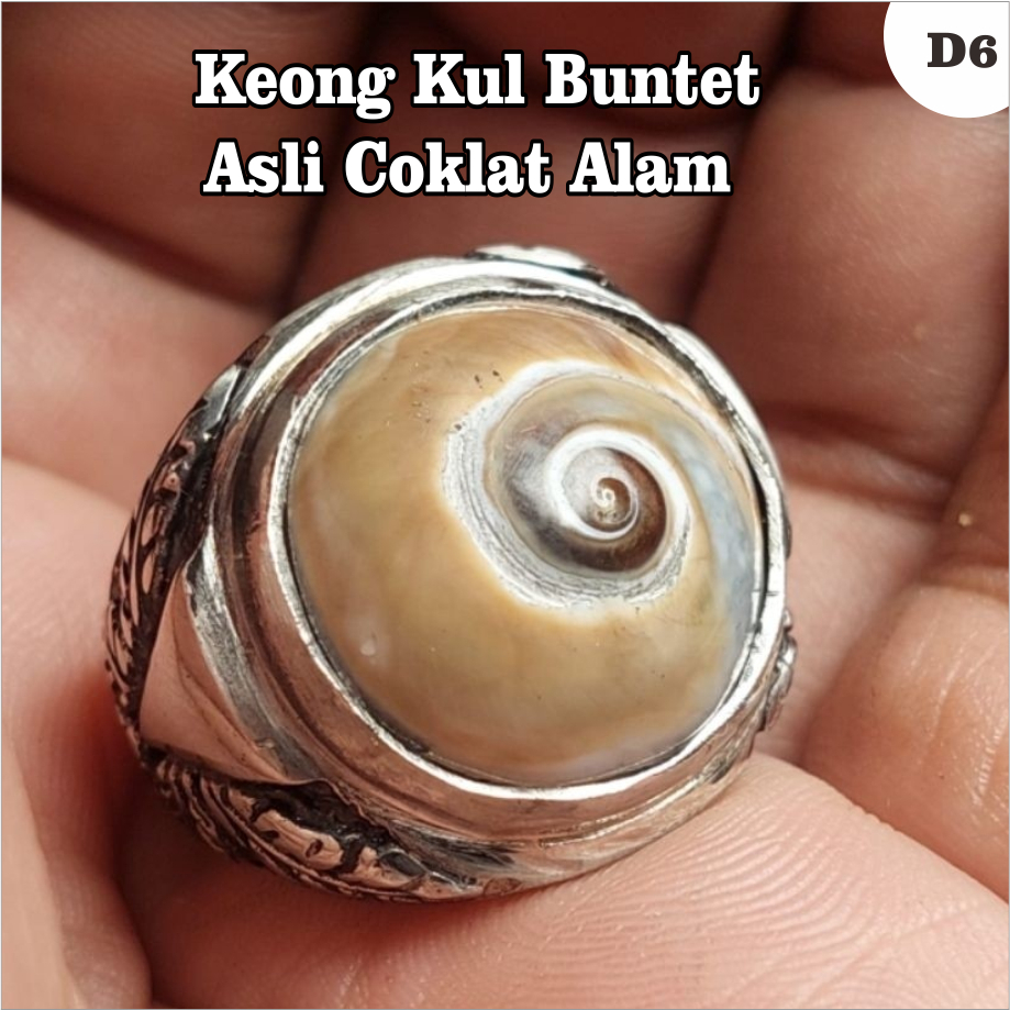 Cincin Keong Kul Buntet Asli Coklat Alam / Cincin Keong Puser Bumi / D6