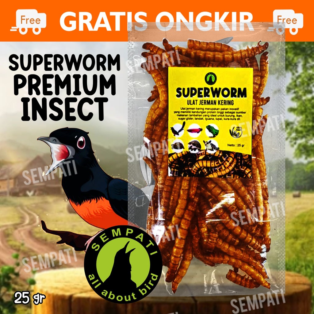 SEMPATI Superworm Super Worm Ulat Jerman Kering Pakan Extra Fooding EF Burung Murai Kacer Cendet Mak
