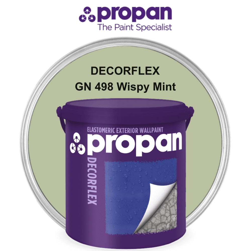 CAT PROPAN DECORFLEX 2.5 LT - WISPY MINT GN 498