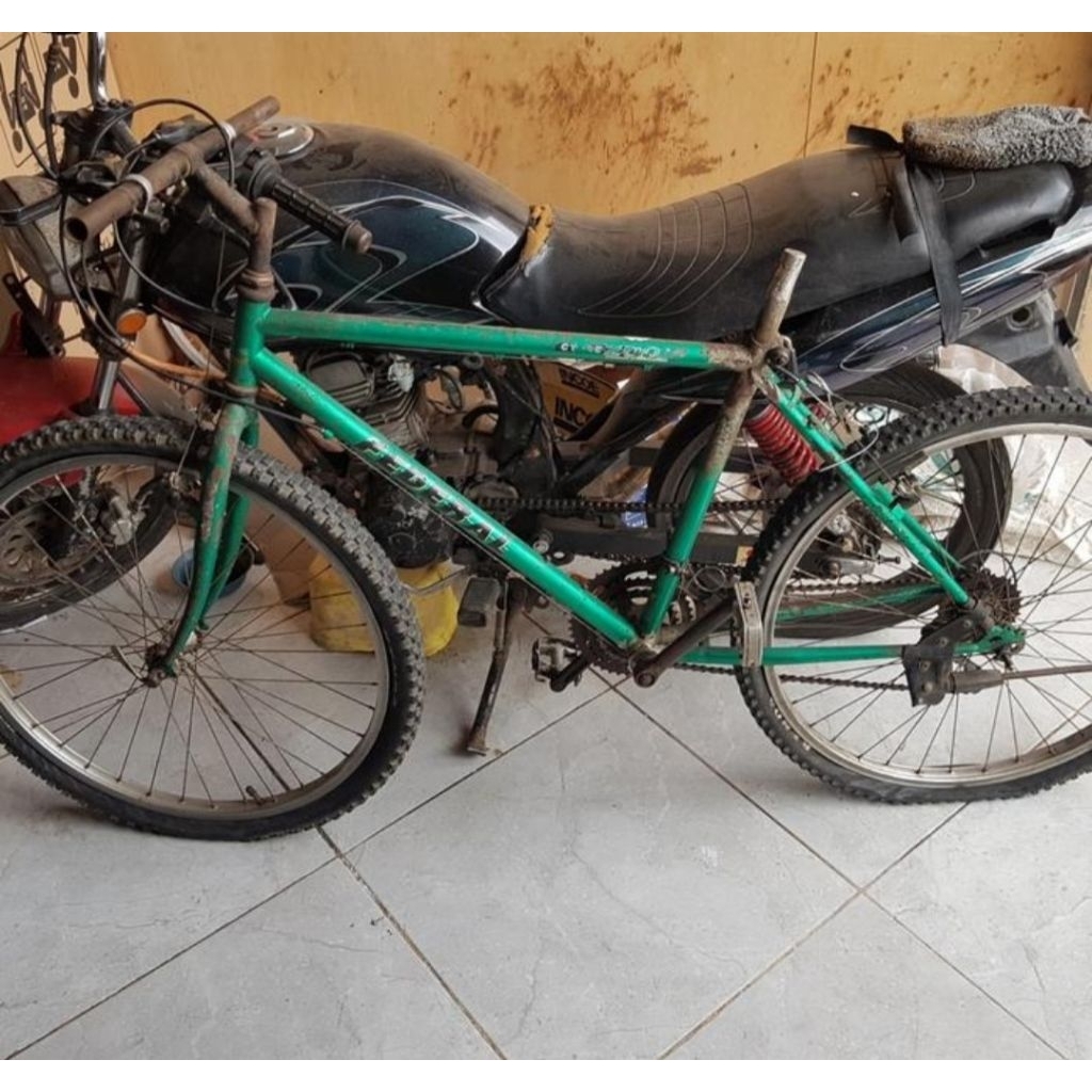 sepeda federal streetcat ss NPR