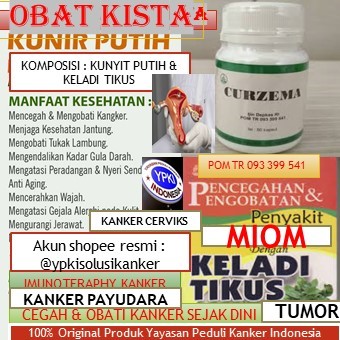 PRODUK YAYASAN PEDULI KANKER INDONESIA II OBAT UNTUK KISTA ENDOMETRIOSIS CURZEMA II OBAT KISTA FUNGS