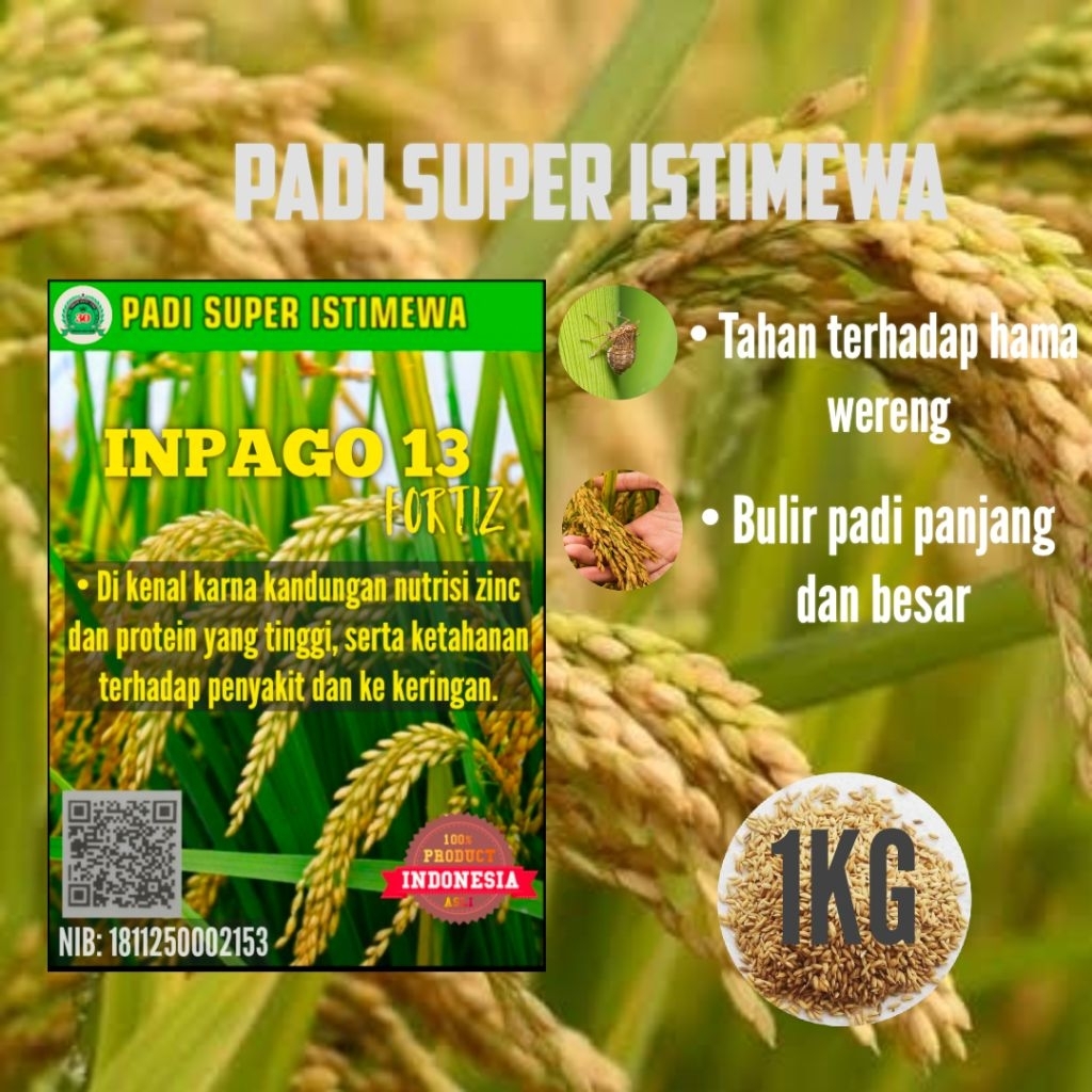 Benih padi unggu hibridal Inpago 13 fortiz kemasan 1kg