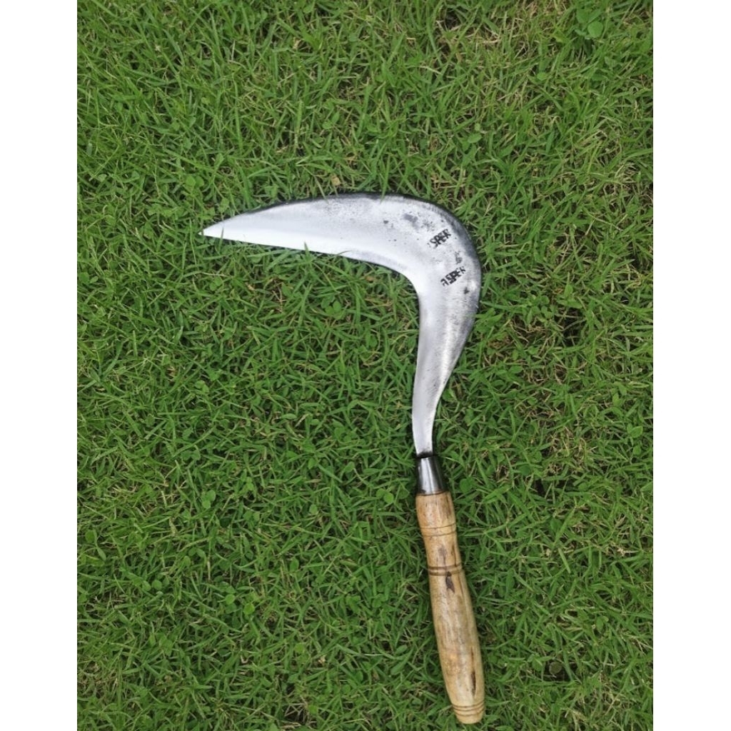 Arit Rumput Padi & Ranting Baja Asli Super tajam ASPER original [ Siap Pakai ]