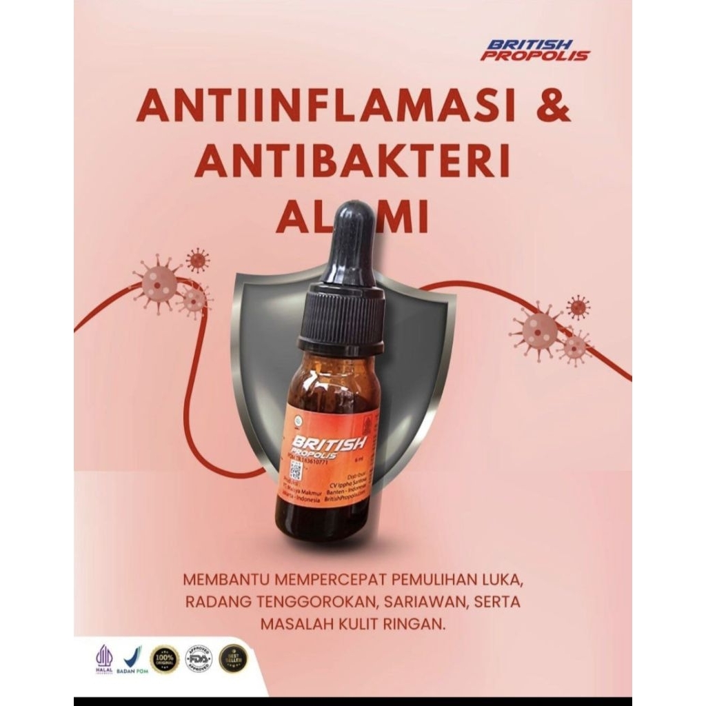 british propolis original/ british propolis asli