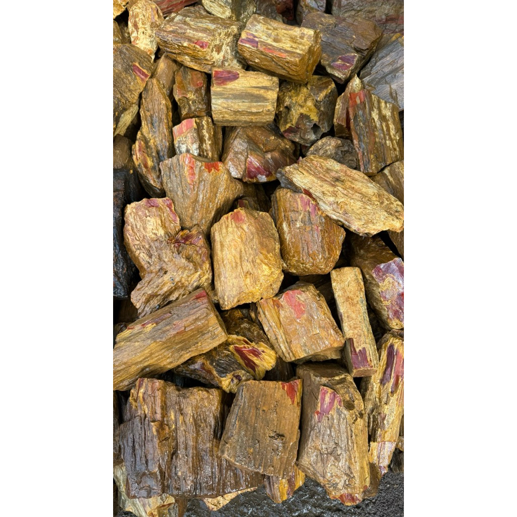 1kg Batu Fosil Galih Kelor Merah / Batu Fosil Kayu