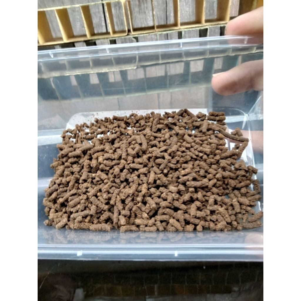 pelet udang, pelet lobster air tawar, pelet ikan rucah protein tinggi