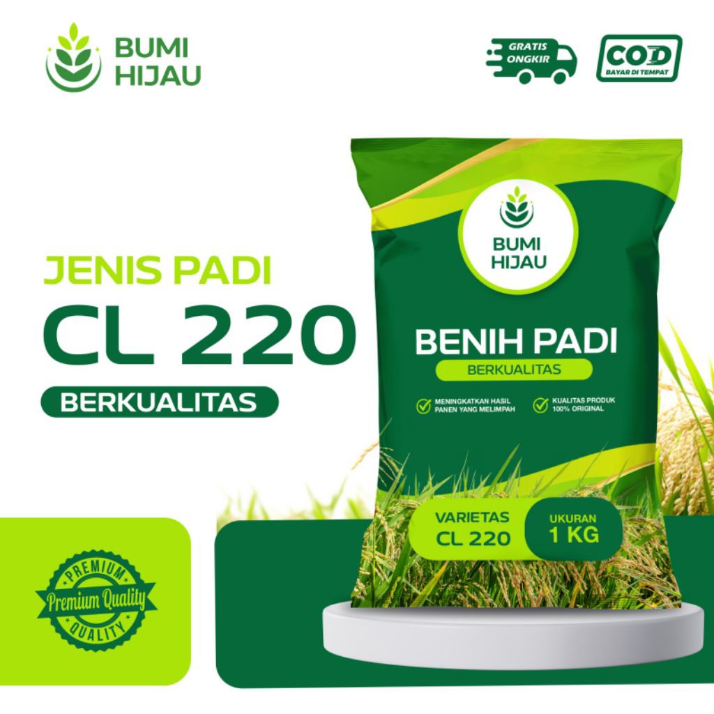 BENIH PADI BIBIT PADI CL 220 KEMASAN 1KG KUALITAS SUPER PREMIUM