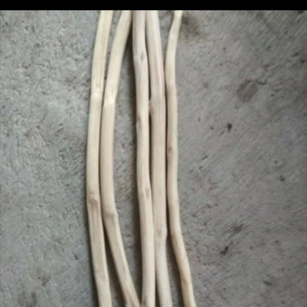 Ranting kayu jati macrame. ranting kering aesthetic.  ranting kayu jati.  ranting kayu dekorasi