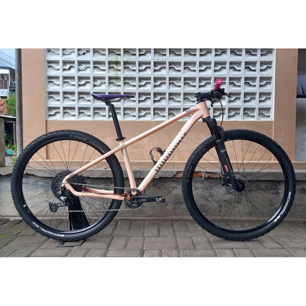 Dominate axc-2 elite S 29er