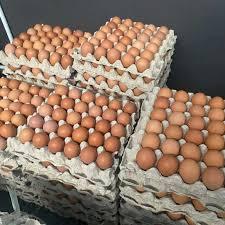 Telur ayam negri 1 krat 30pcs