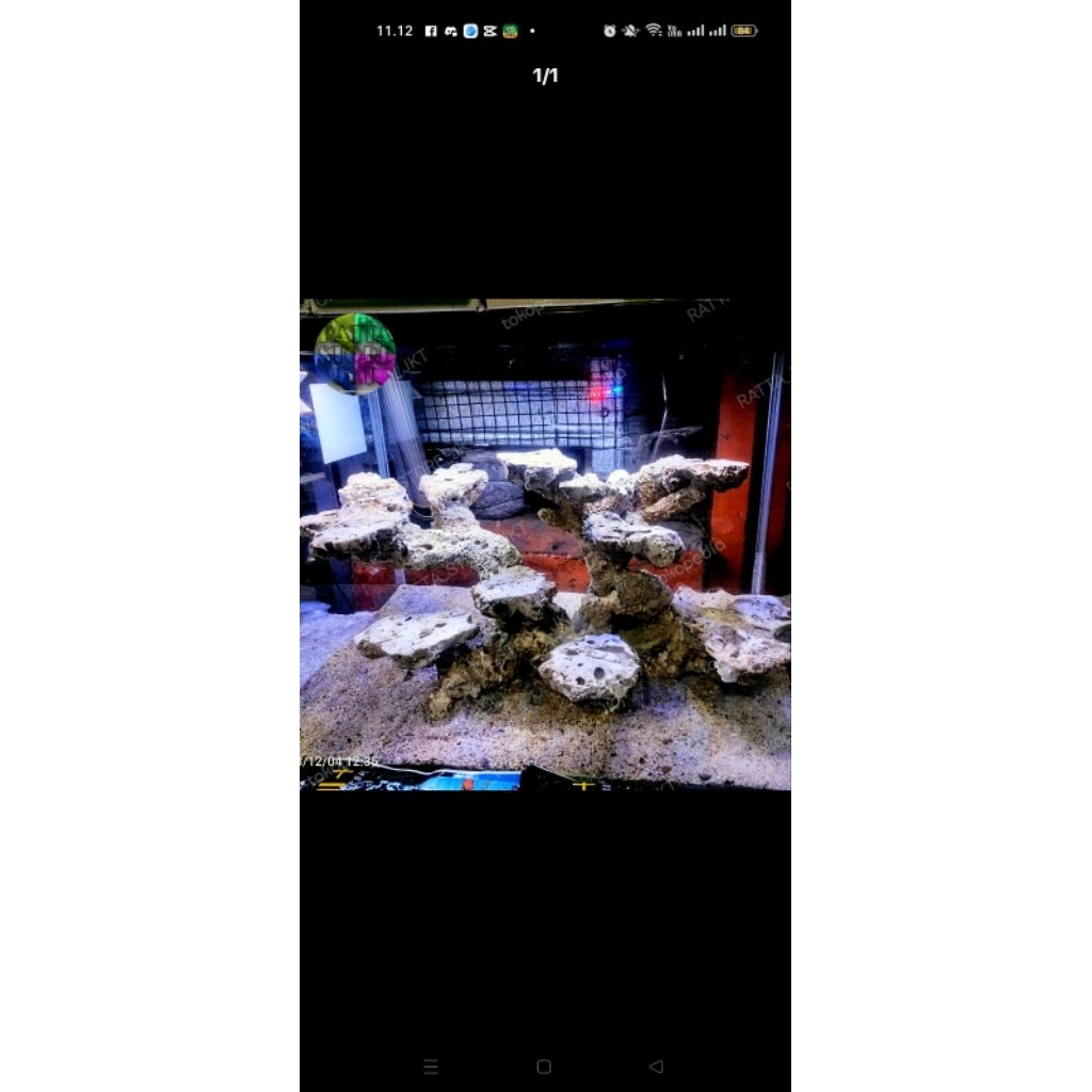 scaping deadrock 33*24*20