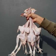 Ayam pejantan 1kg segar per ekor fresh pasar kreneng