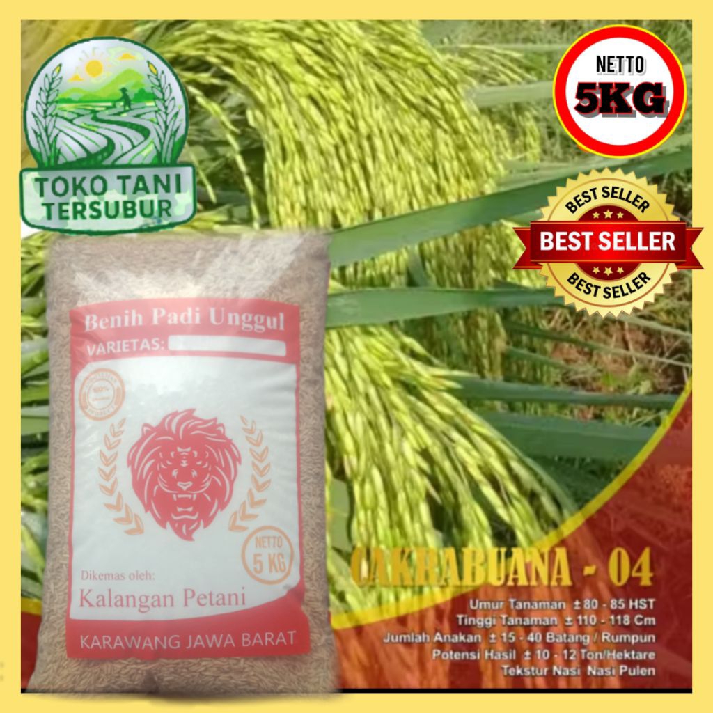 BENIH PADI CAKRABUANA 04 KEMASAN 5KG KUALITAS TAHAN TERHADAP WERENG