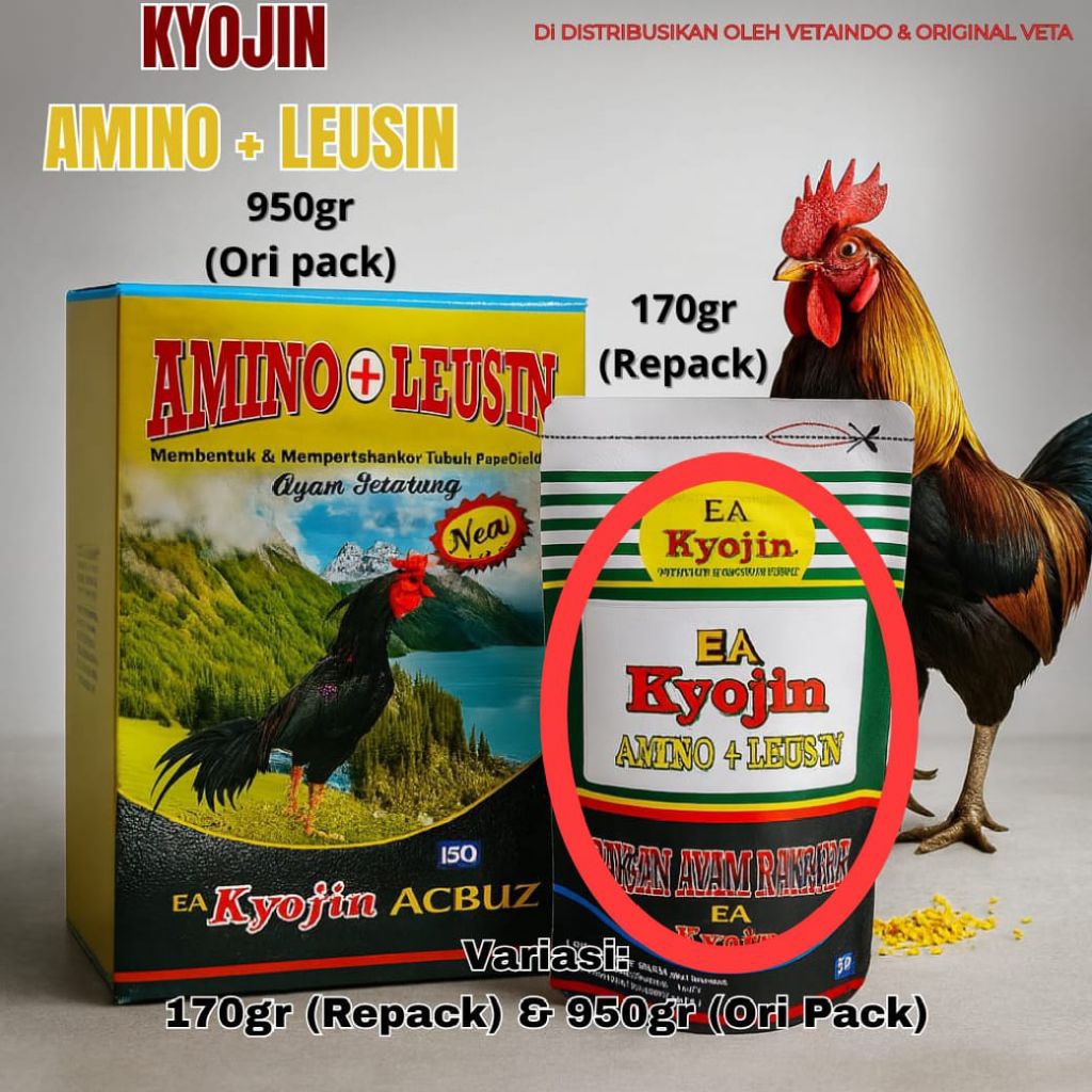 KYOJIN ALBUZ AMINO + LEUSIN (REPACK 170gram) PAKAN AYAM PETARUNG TUBUH PROPORSI