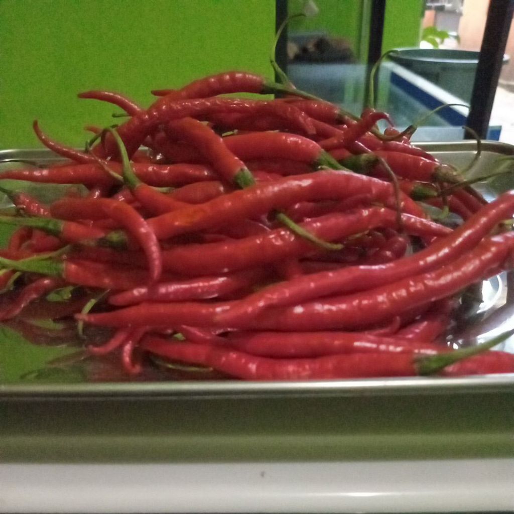 Cabai Merah Keriting/ Cabe Keriting 1kg