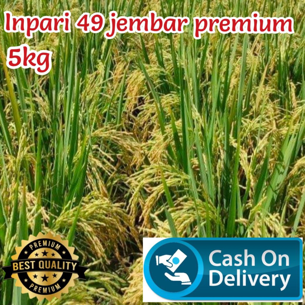 Benih padi inpari 49 jembar premium kemasan 5kg