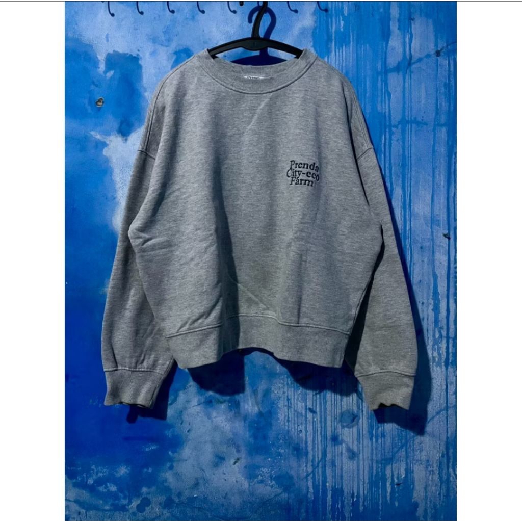 crewneck boxy|preloved