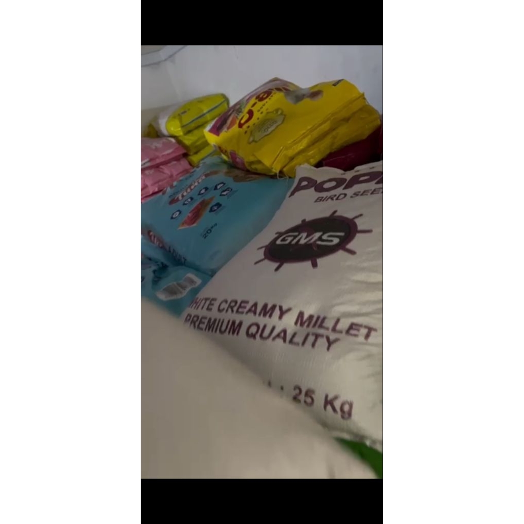 ready milet putih / milet kuning /canary seed kemasan 1 sak 25kg
