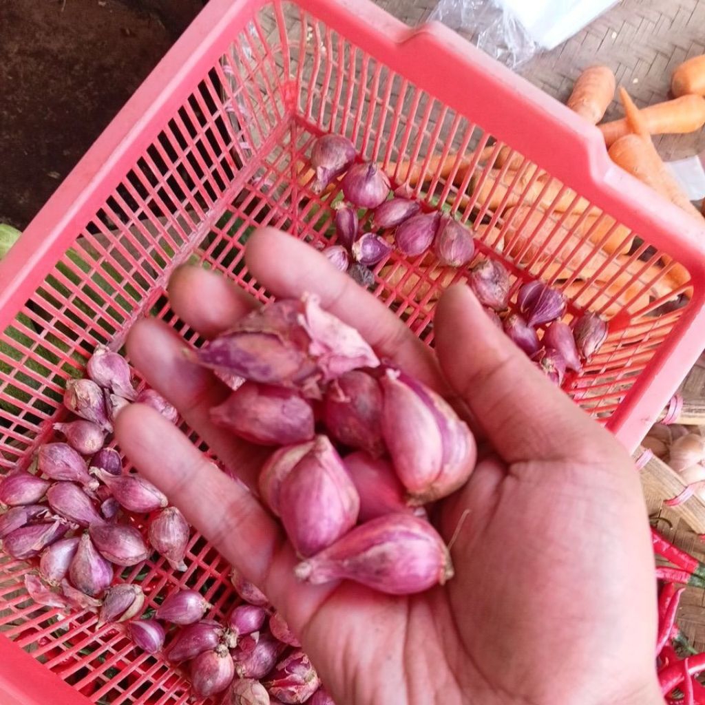 bawang merah segar 1kg  dikirim langsung dari pasar anyar bogor