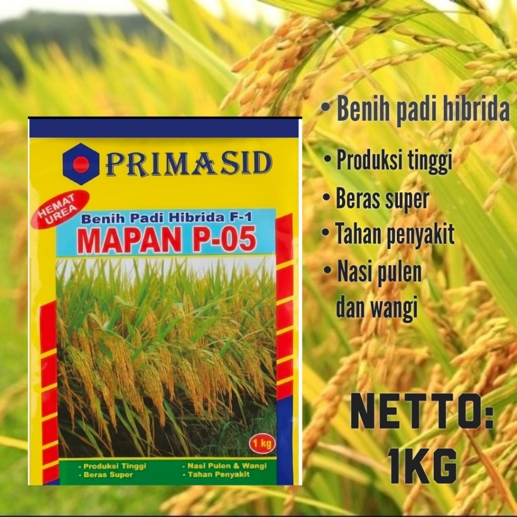 Benih padi unggul MAPAN P- 05 KEMASAN 1 KG