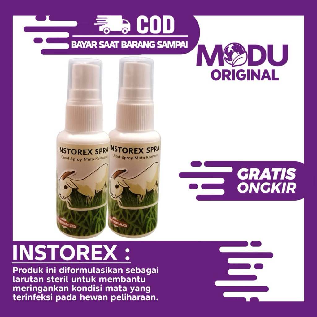 OBAT MATA HEWAN TERNAK AMPUH Obat Penyakit Mata Kambing Dan Sapi