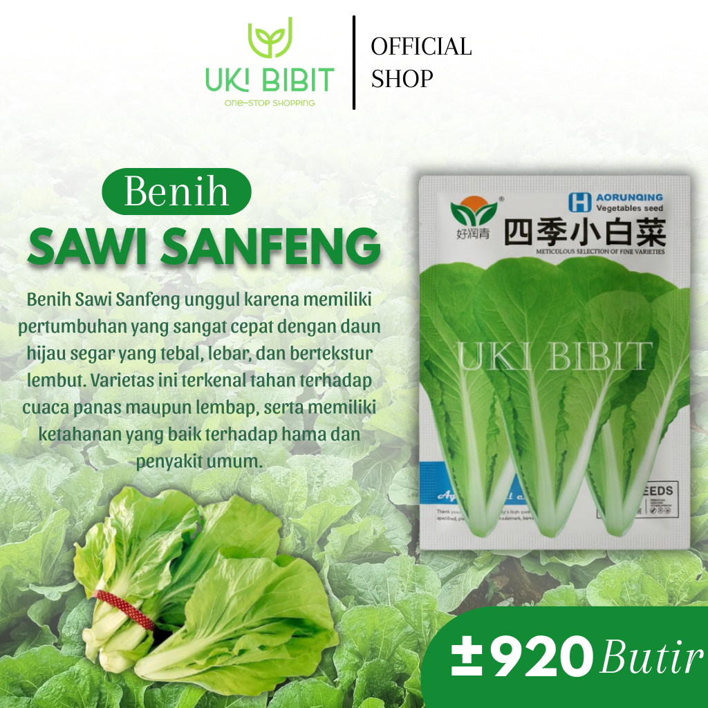 Kemasan Mini | Benih Biji Sawi Sanfeng | Sawi Cina | Sawi Hijau