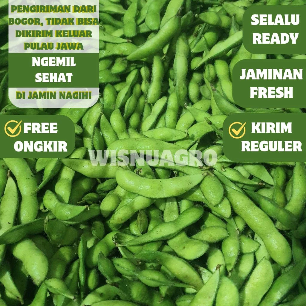 Edamame Fresh/Cemilan Kacang Jepang Segar 1Kg Super Grade A - Promo