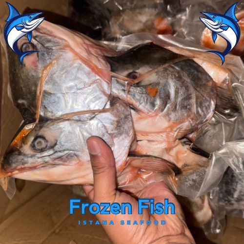 Kepala Ikan Salmon 1 Kg - Kepala Salmon segar - Kepala Salmon Fresh - Kemasan Vakum - kategori Grade