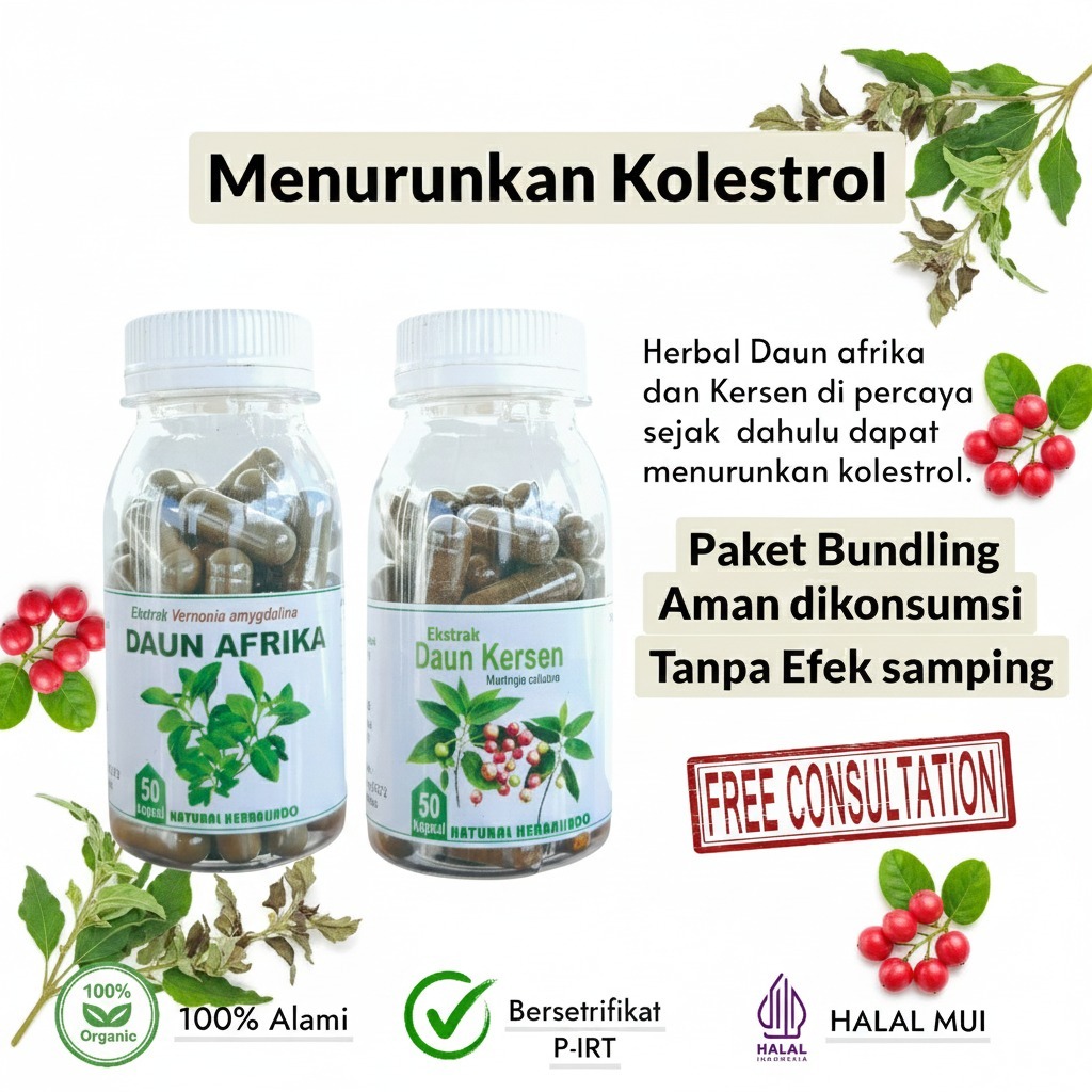 obat herbal kesemutan stroke daun afrika asam urat rematik daun kersen kapsul