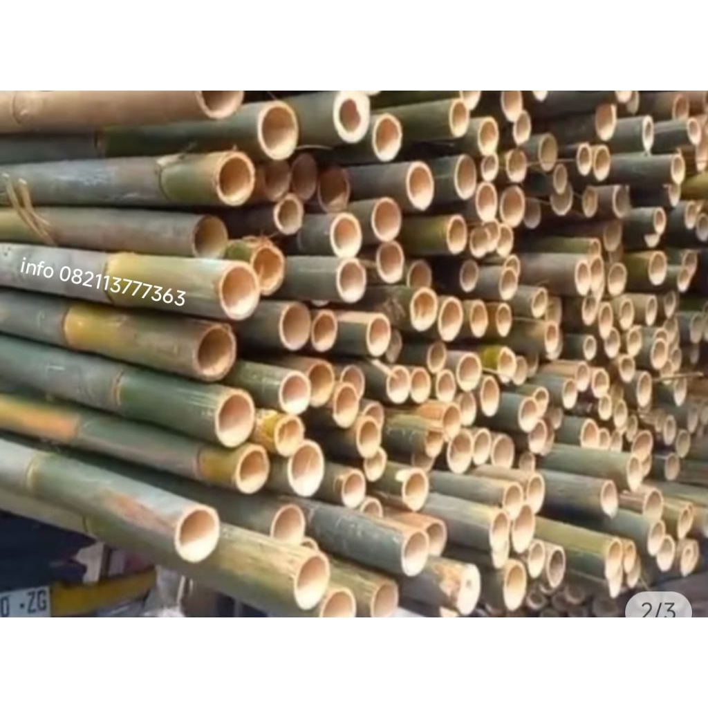 bambu steger/bambu bangunan ukuran 7/10 (free ongkir)bambu panjang 6 meter diameter besar2 kwalitas 