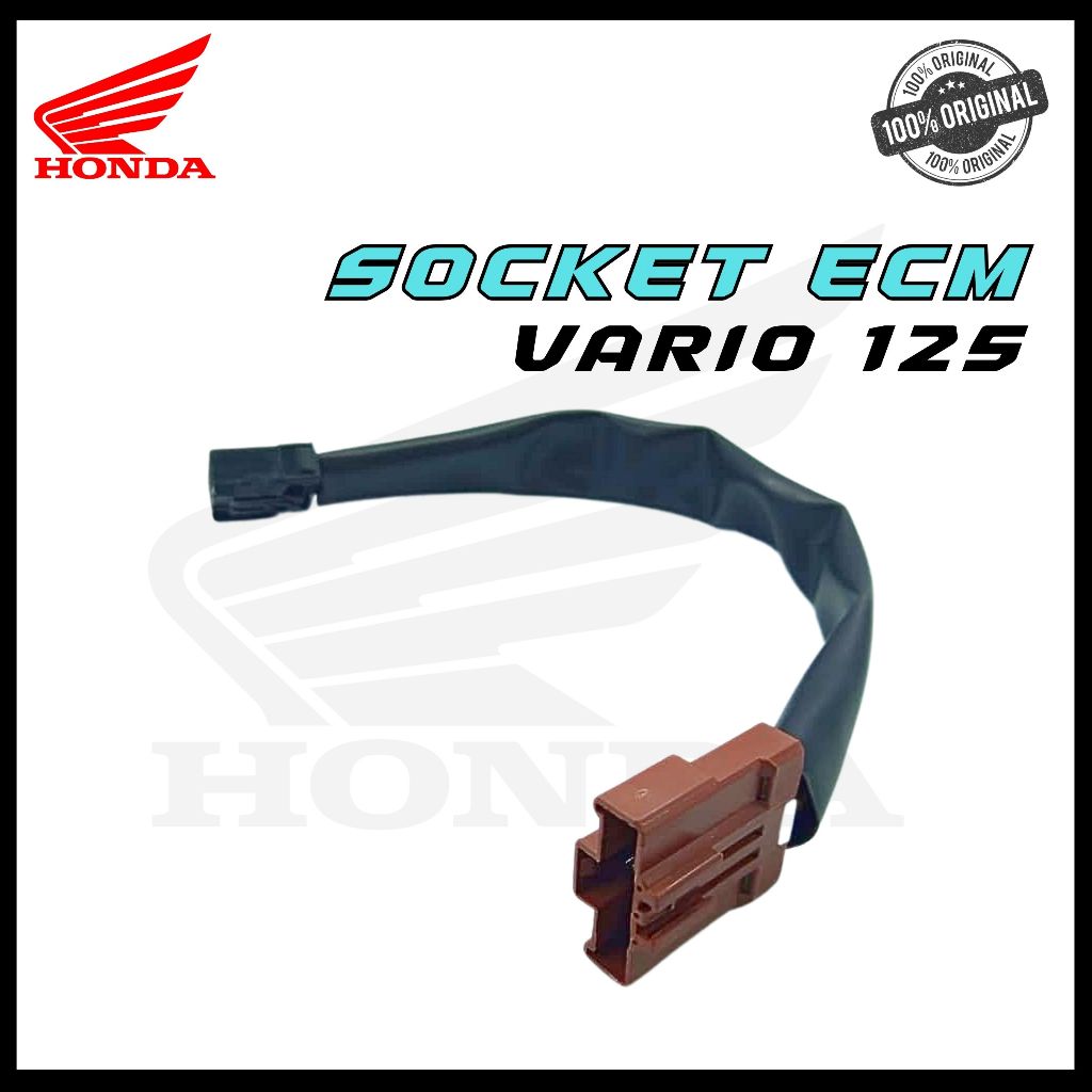 SOKET ECM VARIO 125 SOCKET ECU HONDA VARIO 125 OLD VARIO 125 NEW VARIO 150