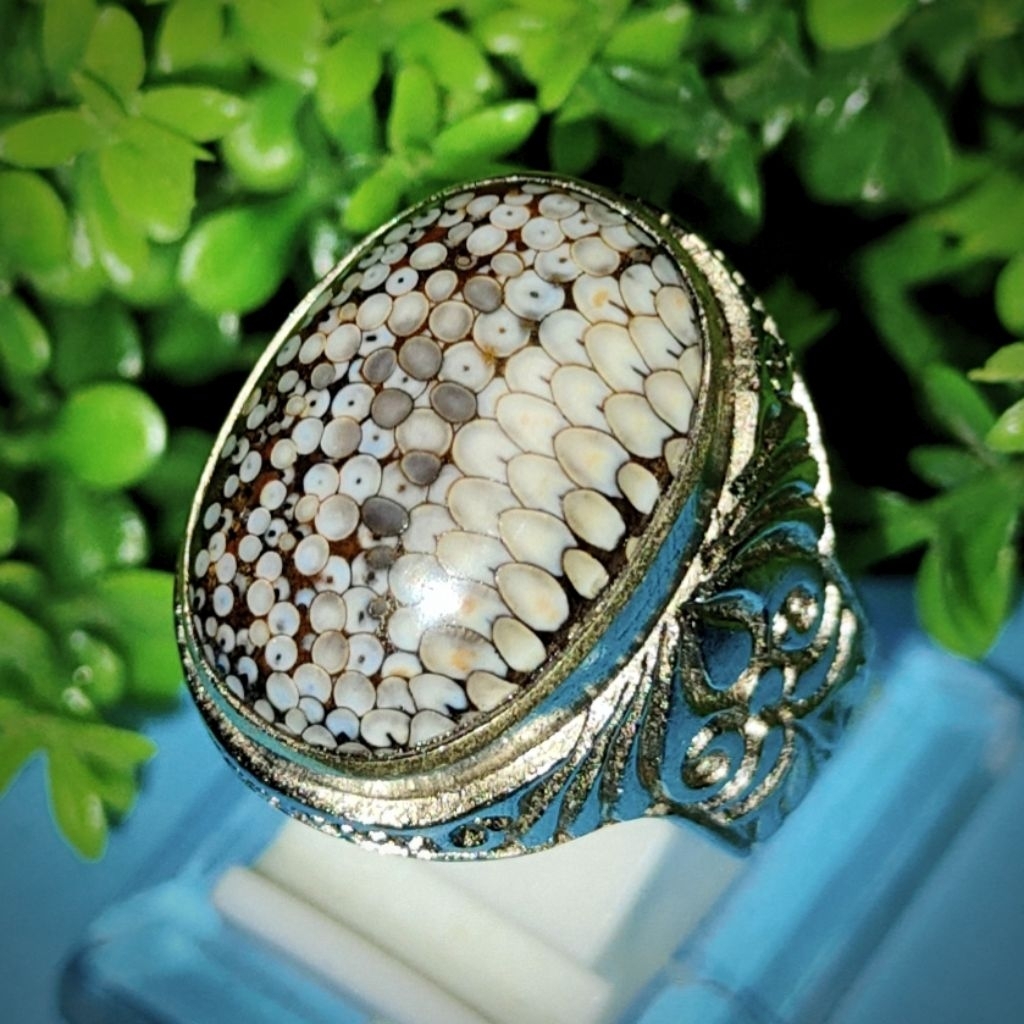 natural akik jipen pamor sisik ular