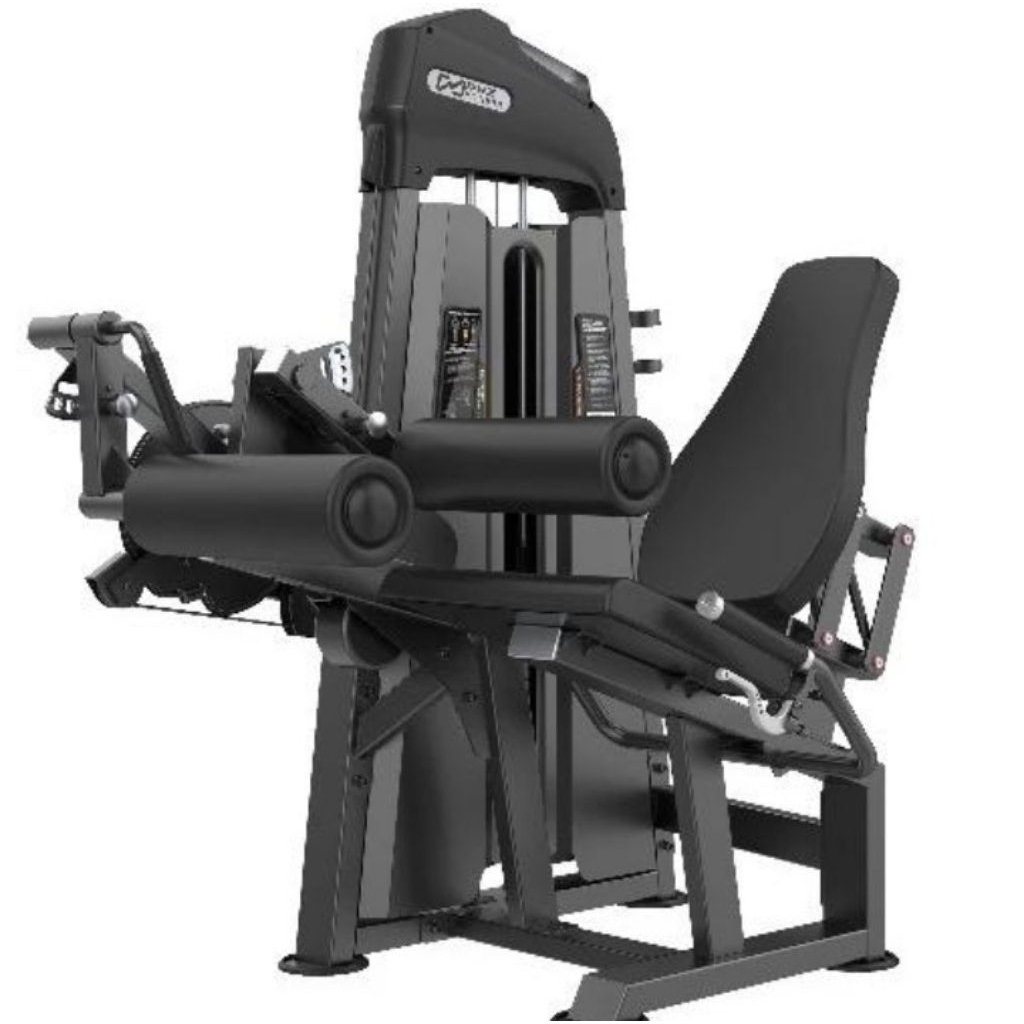 Leg curl leg extension dhz tasical komersial gym