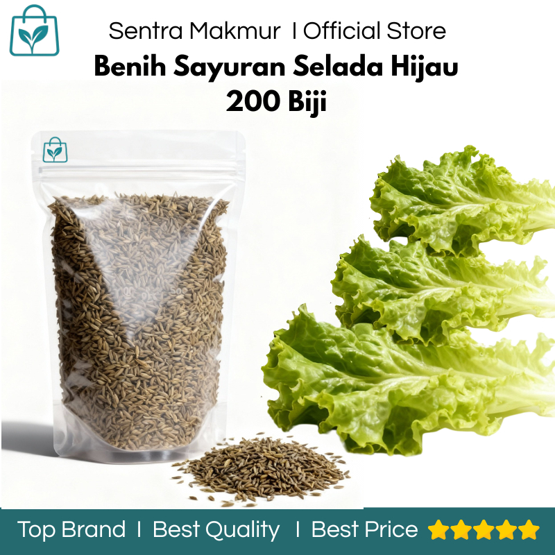 Benih Selada Hijau 200 Biji - Benih Sayuran Selada - Benih Selada Hijau Keriting - Benih Selada Air 