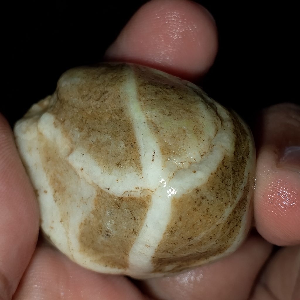 Tapak jalak urat timbul tembus senter ada huruf A