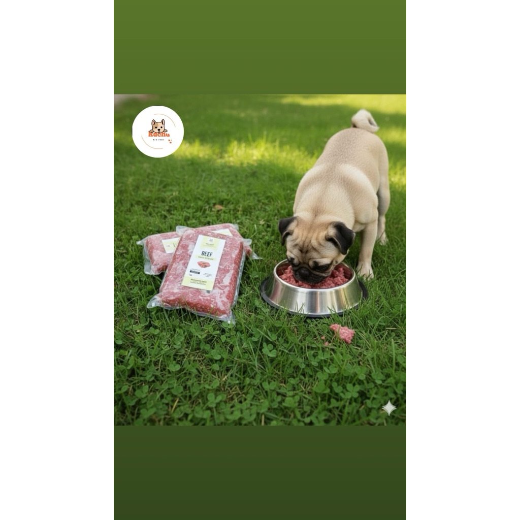Raw Food Beef // Racha Raw Food // Makanan Sapi Giling untuk Anjing dan Kucing